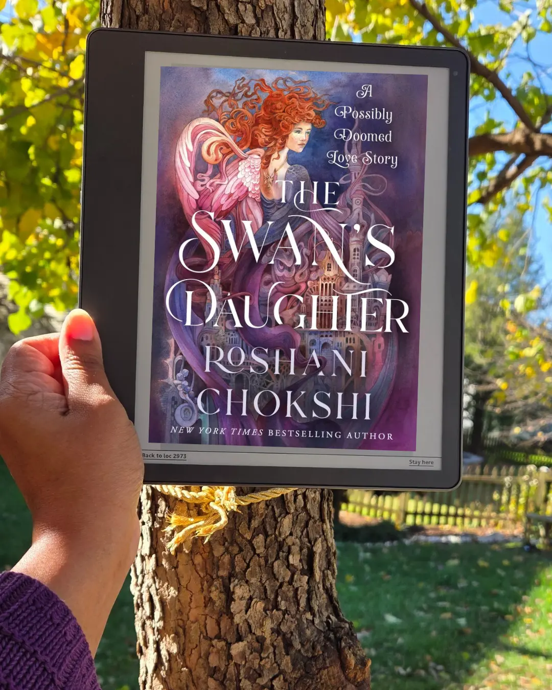 The Swan's Daughter